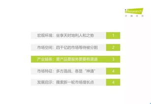 2019年中國教育信息化行業報告 信息技術咨詢服務的現狀與發展